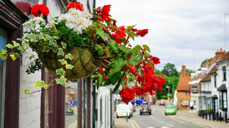 A hanging flower basket attached to a wall in a street scene, featuring vibrant red and white begonias with lush green foliage and ivy, arranged in a round, moss-lined basket. The basket is suspended