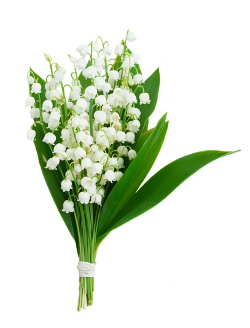 flower delivery birthday flowers